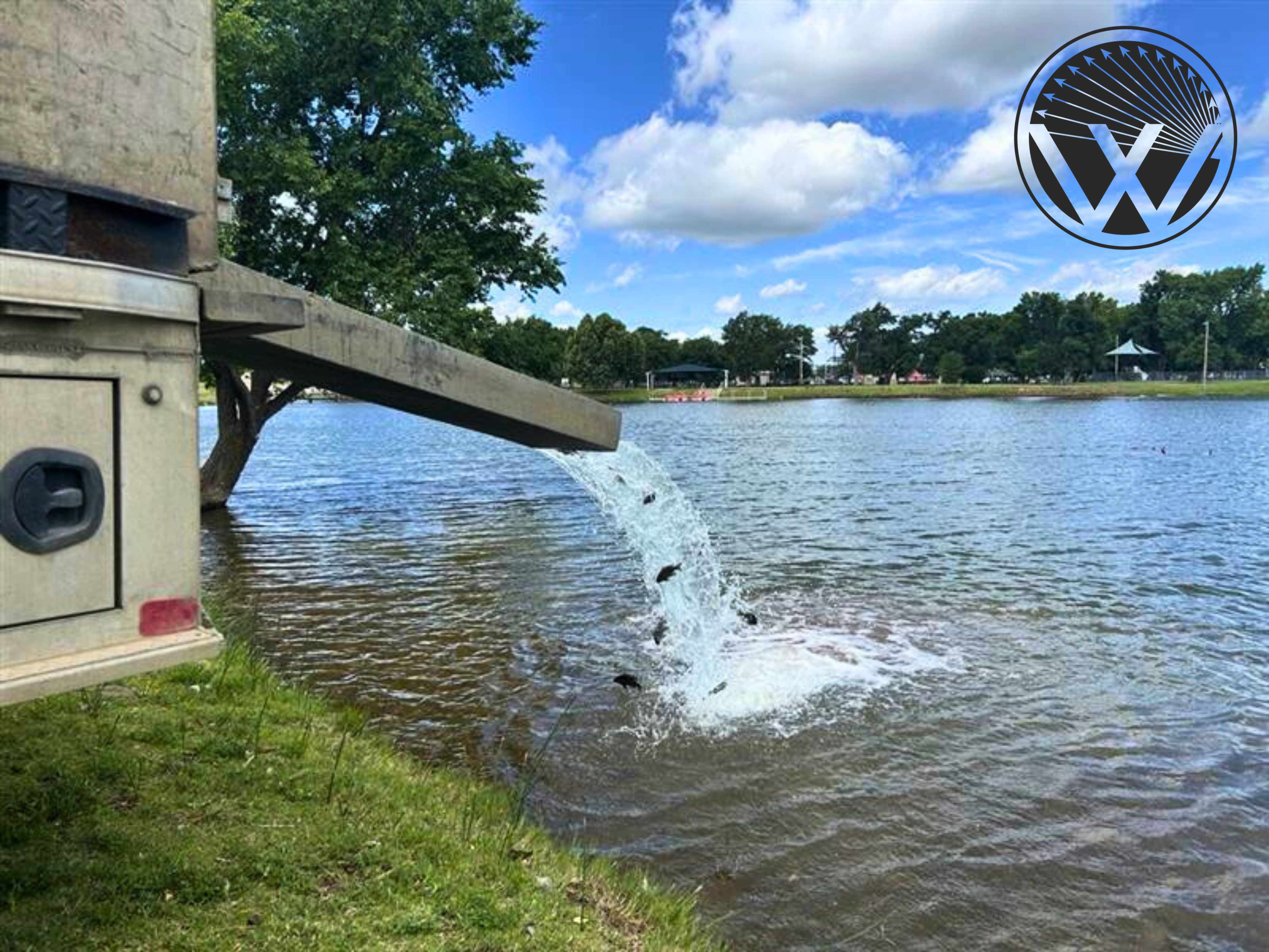 Bluegill Photo Tourism Insider